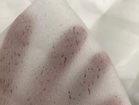 太阳能组件
赞晨
