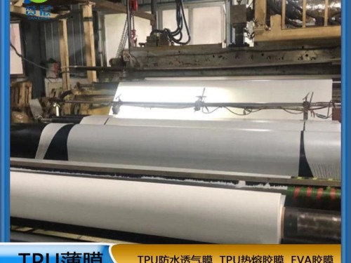 tpu膜白色雾面防水透气膜复合布料纺织移印 等功能性薄膜厂家直销