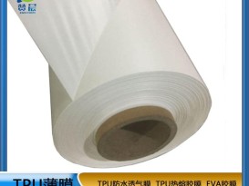 
乳白色  工厂直销 ZC