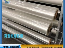 TPU
  耐高温  粘着力强 耐水洗  厂家直销  ZC