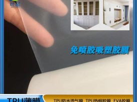 免喷胶吸塑膜  聚氨酯
  厂家直销  ZC