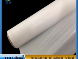 TPU面料 布料弹力耐水洗常温固化用双面柔软 阻燃
